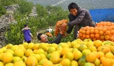 我的扶貧故事主題征文優秀作文