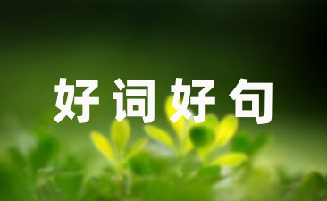 生日快樂甜蜜句子文案34句