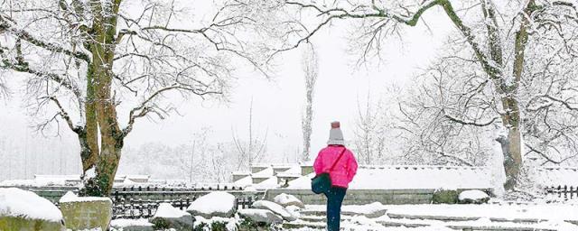 臘七臘八凍死寒鴉諺語 臘七臘八凍死寒鴉的解釋