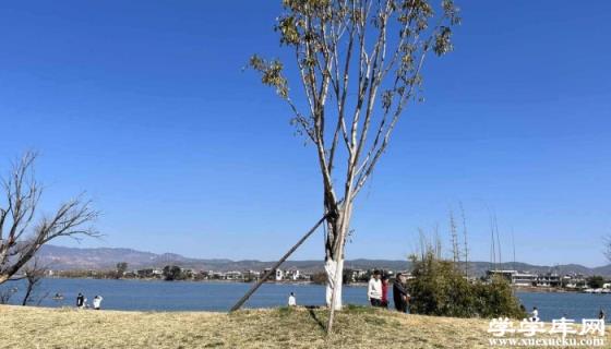 大理自行旅游攻略 大理自駕游最佳路線