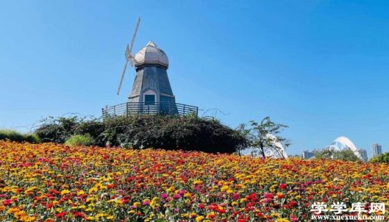 海南儋州旅游攻略 儋州旅游必去景點