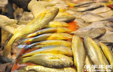 威海有哪些水產品