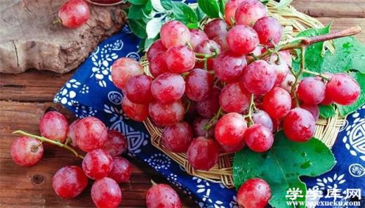 寧夏有哪些特色水果 寧夏的特產