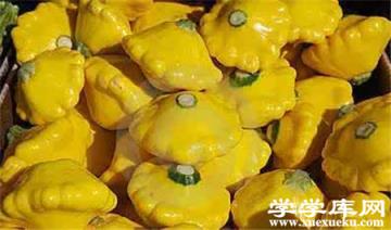 很多飛碟瓜 很多飛碟瓜