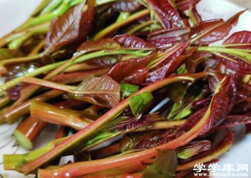 吃香椿要焯水嗎 去除有害物質口感比較好