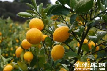 抑制脂肪增加 抑制脂肪增加