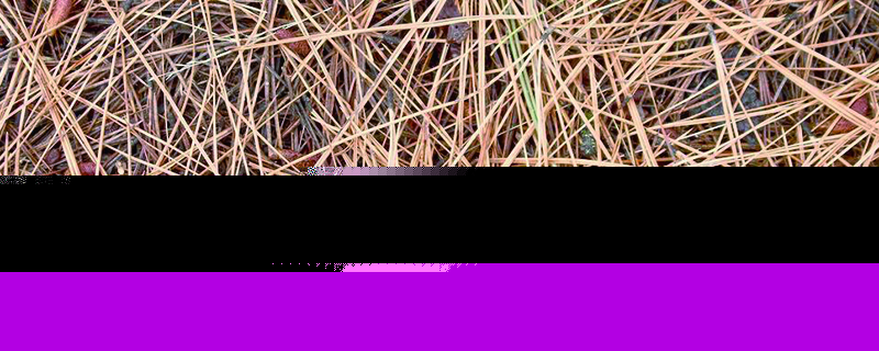 干松針可以直接種花、墊花盆嗎？