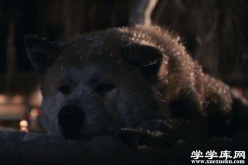 世界十大真實事件改編電影 湄公河行動上榜，你看過幾部