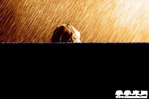 英語十大勵志電影推薦 影響力人生的電影，你看過幾部