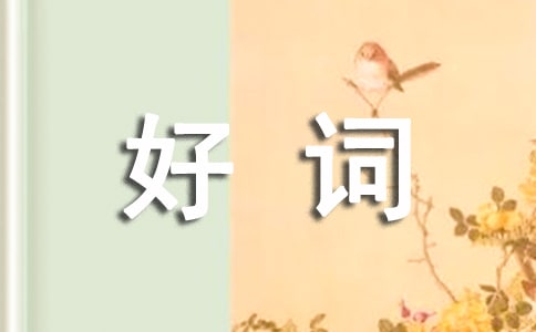 描寫人的好詞好句摘抄
